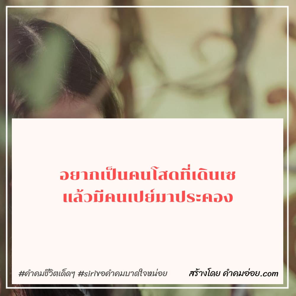 265 คำคมบาดใจ คําคมเฉียบๆกวนๆ ชอบอยู่คนเดียว​หรอ​ ป่าว!แต่เลือกไม่ได้